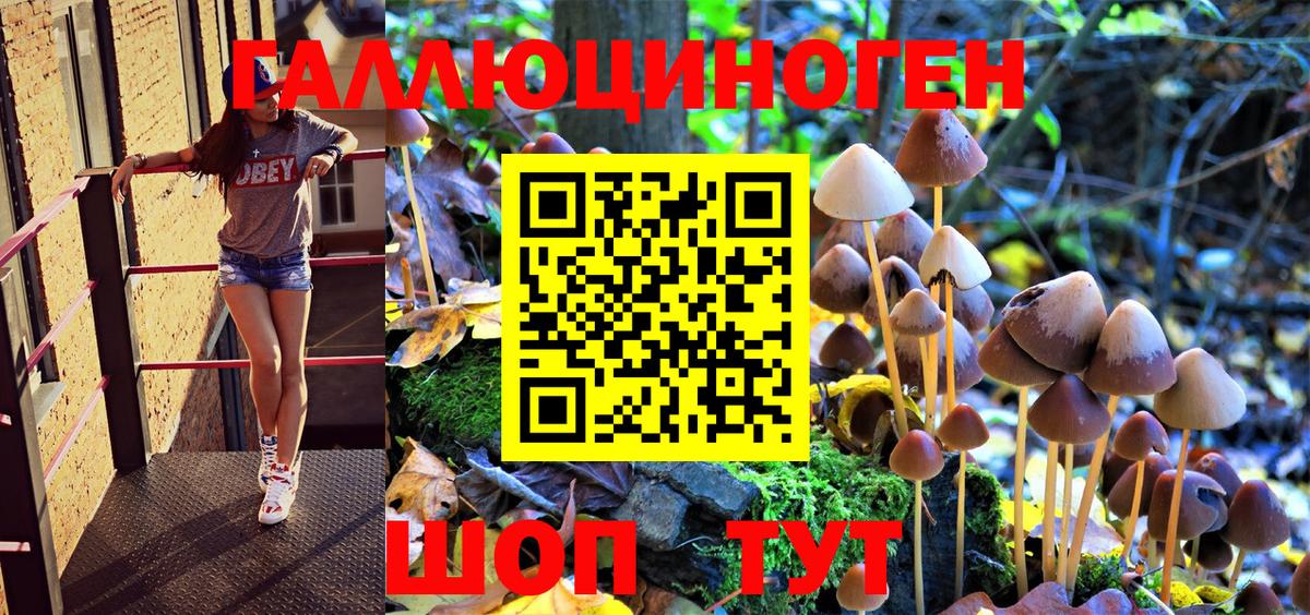 Псилоцибиновые грибы MAGIC MUSHROOMS Азнакаево