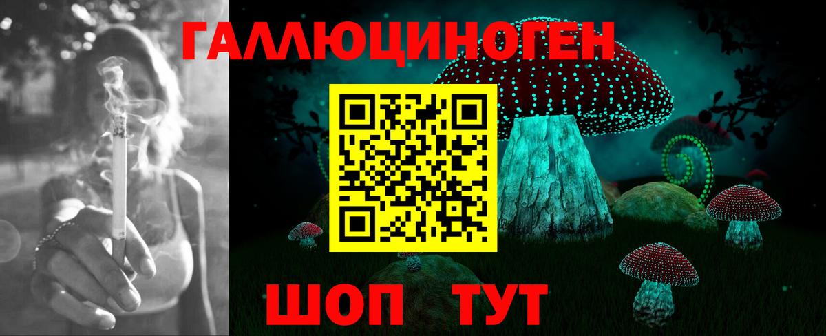 Псилоцибиновые грибы Magic Shrooms  Вход с VPN  Азнакаево 